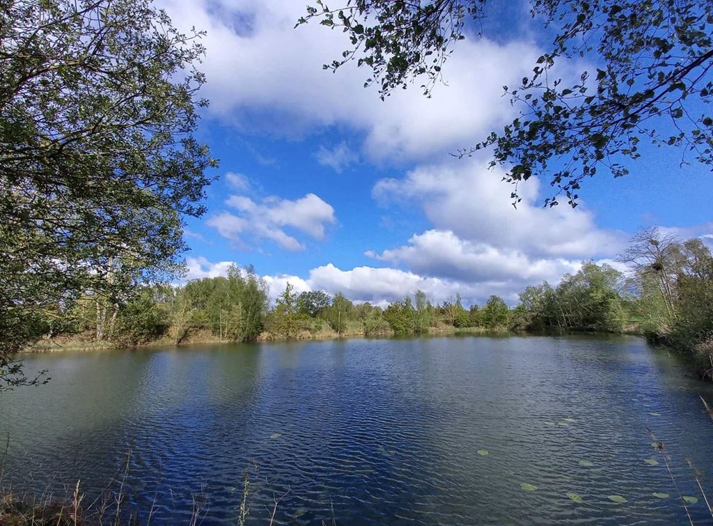 Terrain BUCY LE LONG (02880) Valdis-Immobilier