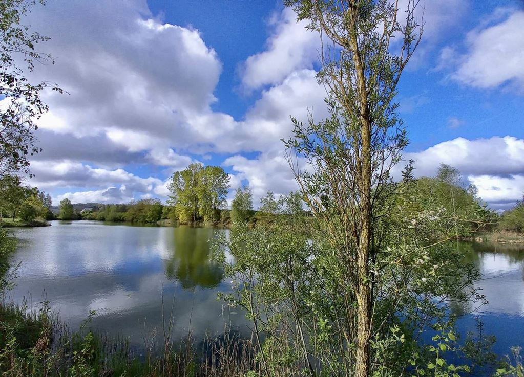 Terrain BUCY LE LONG (02880) Valdis-Immobilier