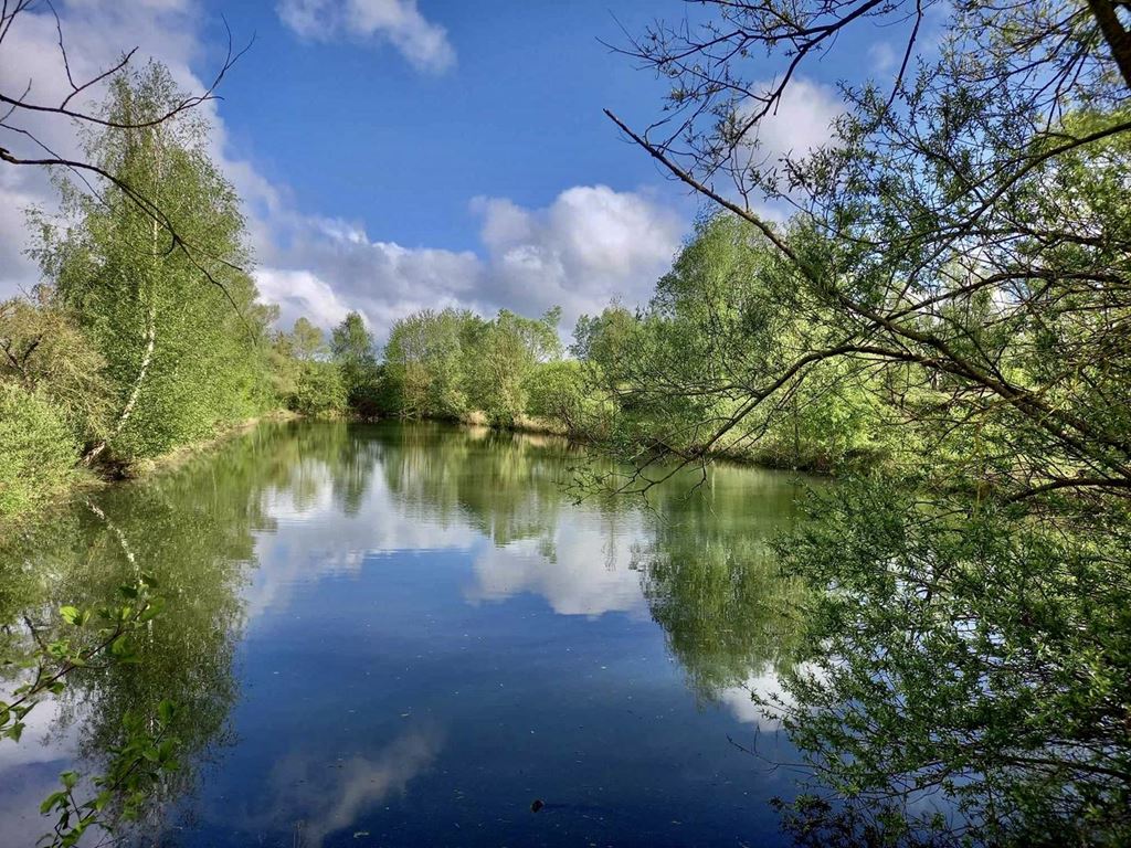 Terrain BUCY LE LONG (02880) Valdis-Immobilier