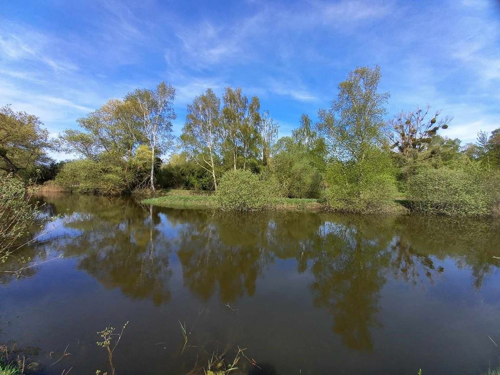 Terrain MONTAIGU (02820) Valdis-Immobilier