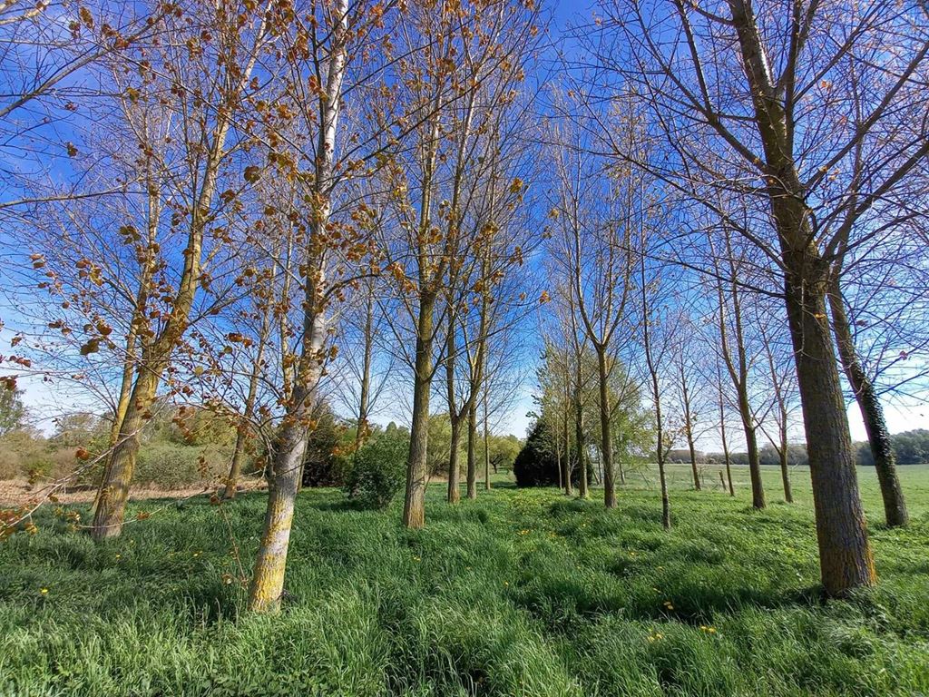 Terrain MONTAIGU (02820) Valdis-Immobilier