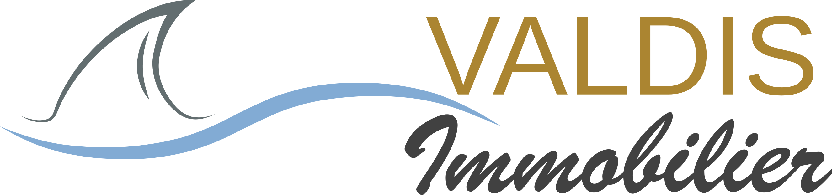 agence Immobilière Valdis-Immobilier